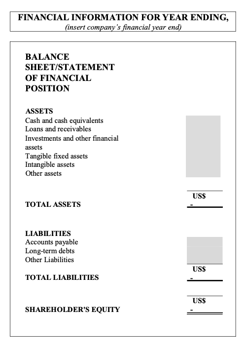 BVI 年度申報表Annual Return